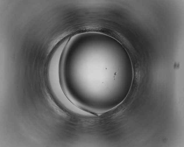 X0000111210725200907011443