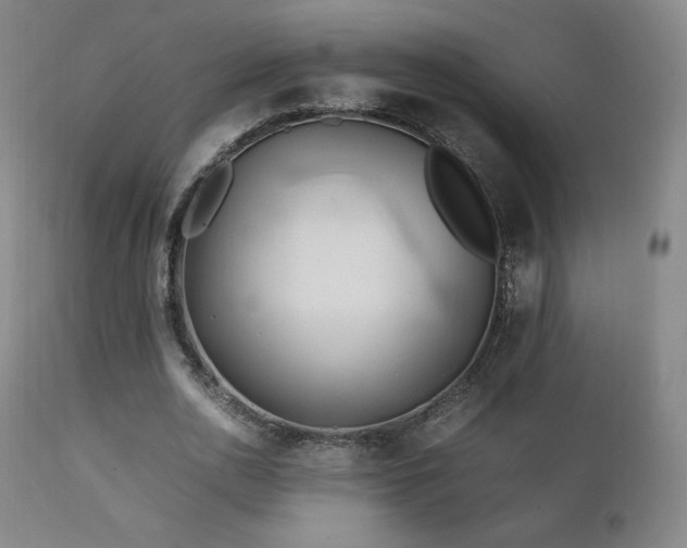 X0000111210726200907011443