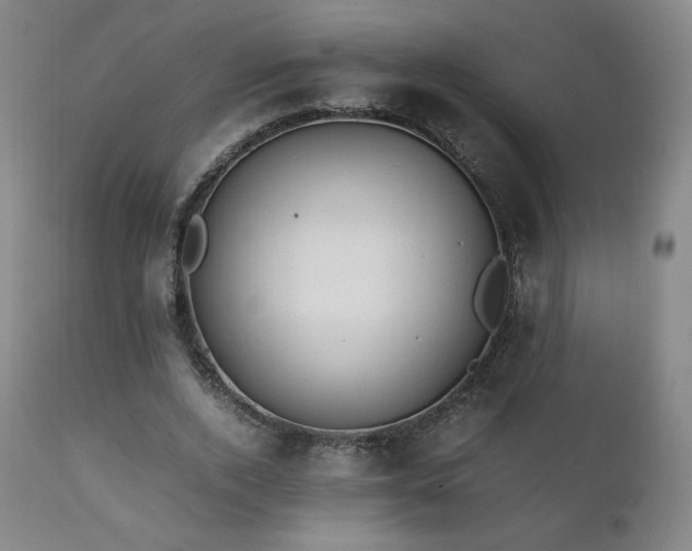 X0000111210728200907011443