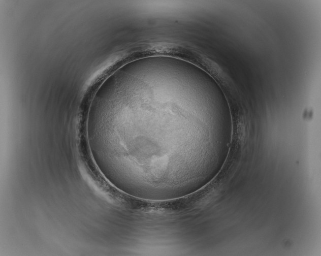 X0000111210730200907011443