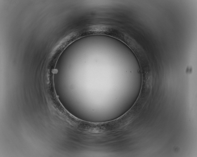 X0000111210731200907011443