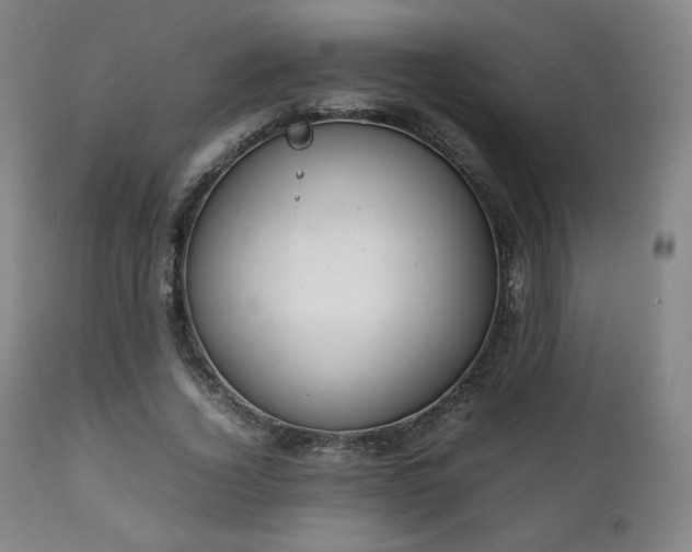 X0000111210732200907011443