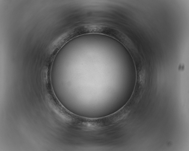 X0000111210733200907011443