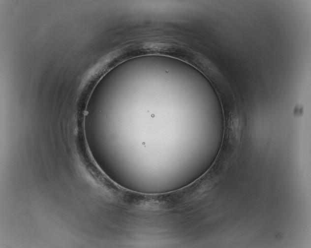 X0000111210734200907011443