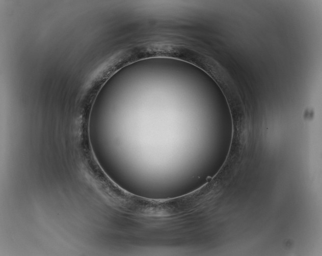 X0000111210735200907011443