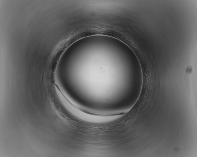 X0000111210736200907011443