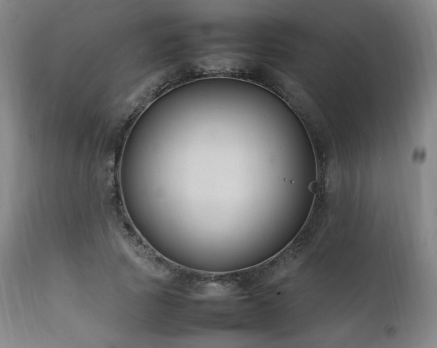 X0000111210737200907011443