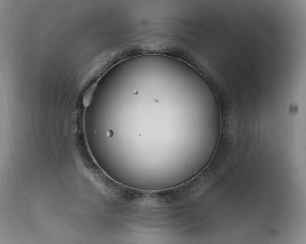 X0000111210738200907011443