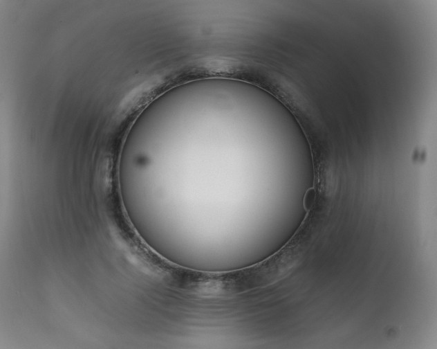 X0000111210740200907011443