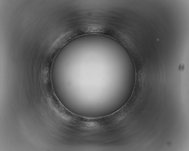 X0000111210741200907011443