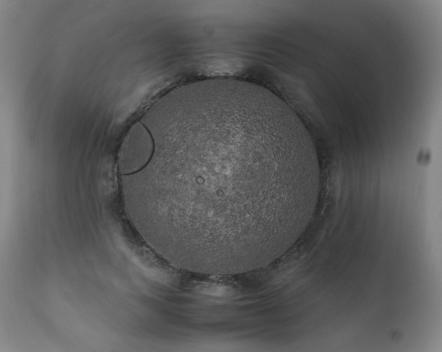 X0000111210743200907011443