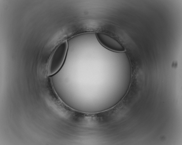 X0000111210744200907011443