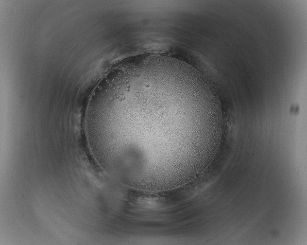 X0000111210745200907011443