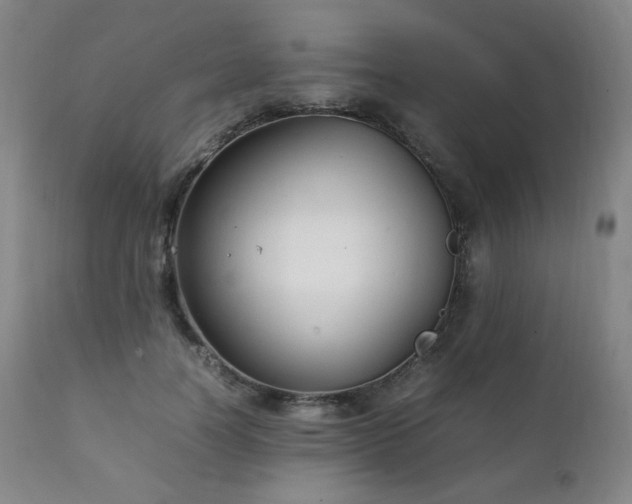 X0000111210746200907011443