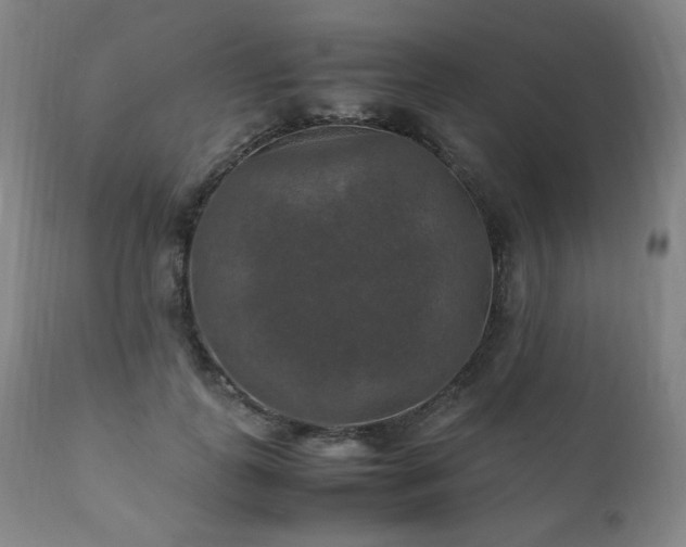 X0000111210747200907011443