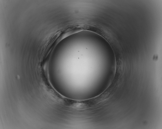 X0000111210748200907011443