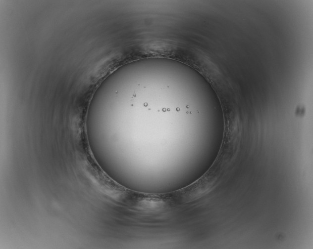 X0000111210749200907011443