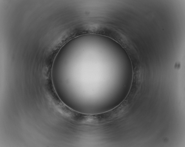 X0000111210750200907011443