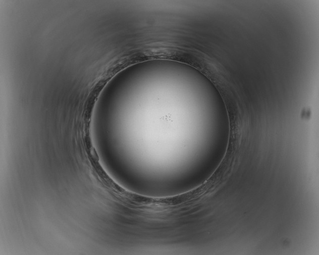 X0000111210751200907011443