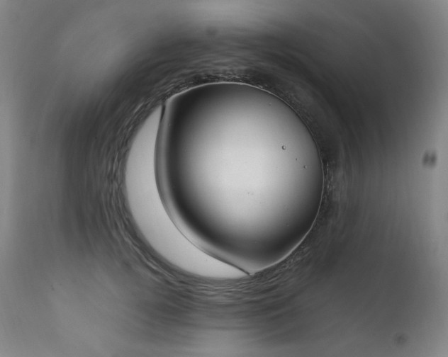 X0000111210752200907011443