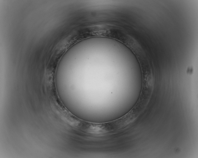 X0000111210753200907011443