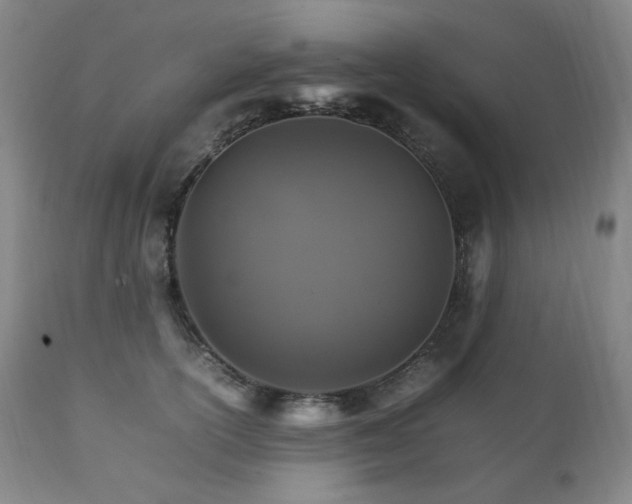 X0000111210754200907011443