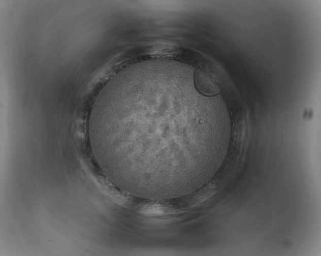 X0000111210755200907011443