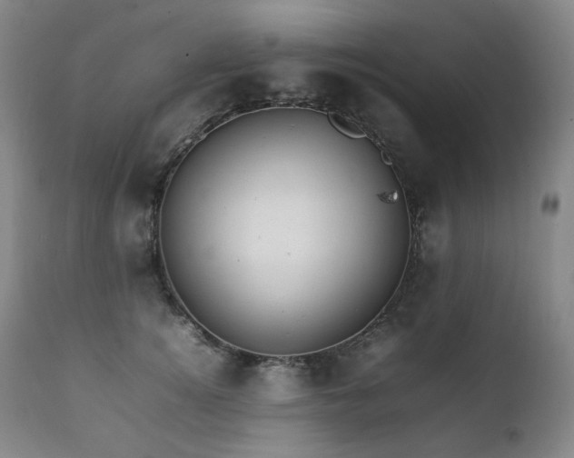 X0000111210756200907011443