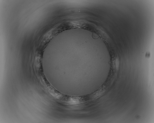 X0000111210757200907011443