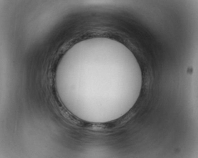 X0000111210758200907011443