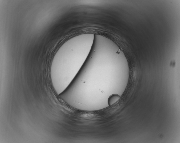 X0000111210759200907011443