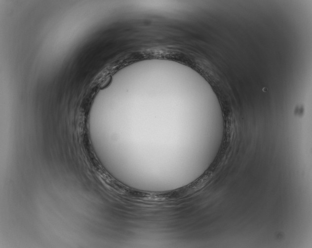 X0000111210760200907011443