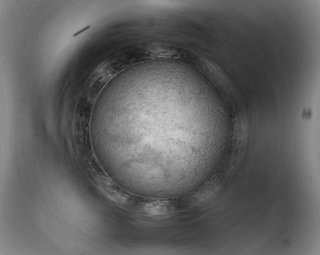 X0000111210761200907011443