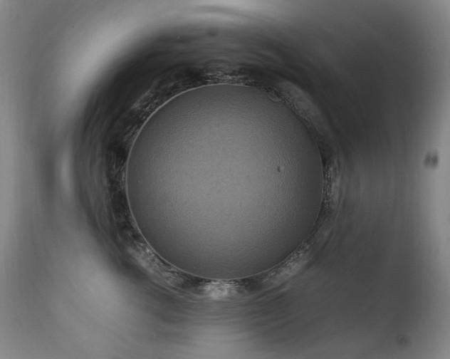 X0000111210762200907011443