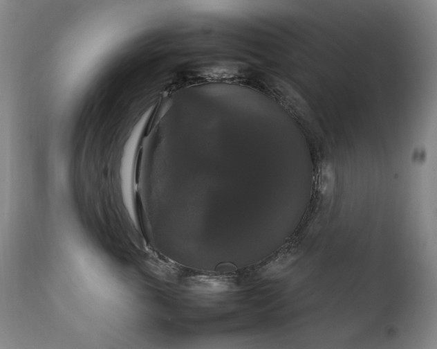 X0000111210763200907011443