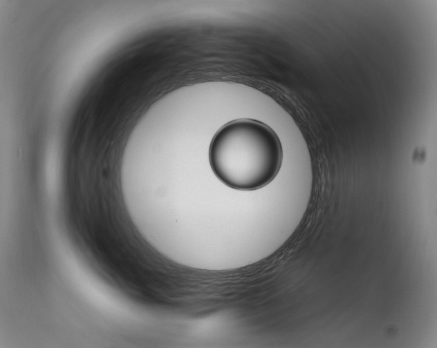 X0000111210764200907011443