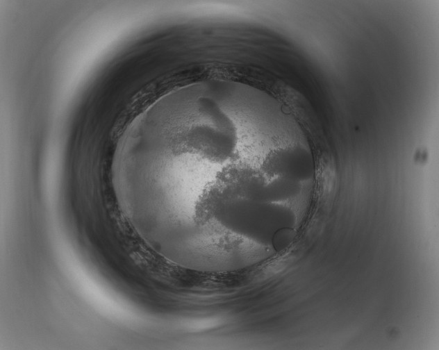 X0000111210765200907011443