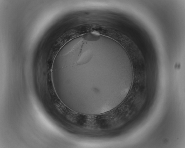 X0000111210766200907011443