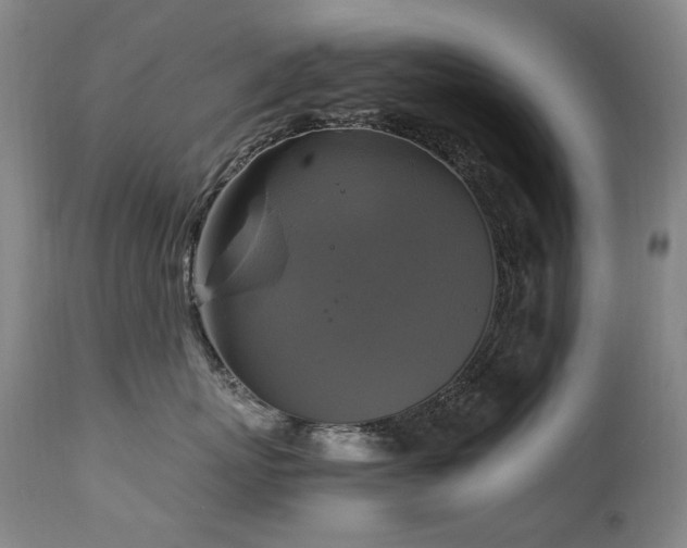 X0000111210767200907011443