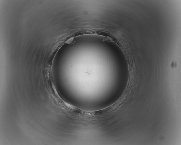 X0000111210768200907011443