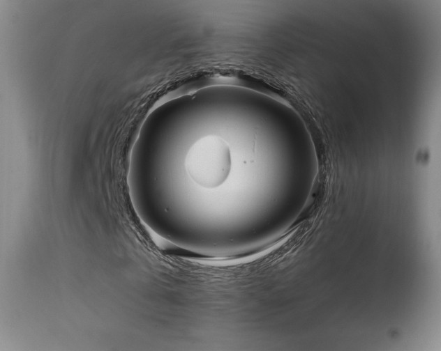 X0000111210769200907011443