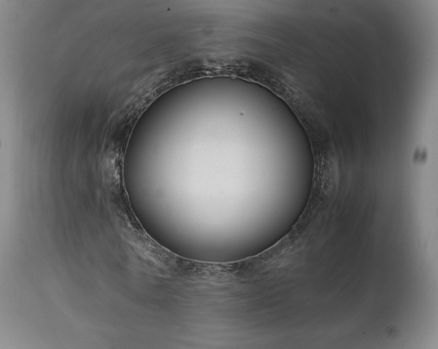 X0000111210770200907011443