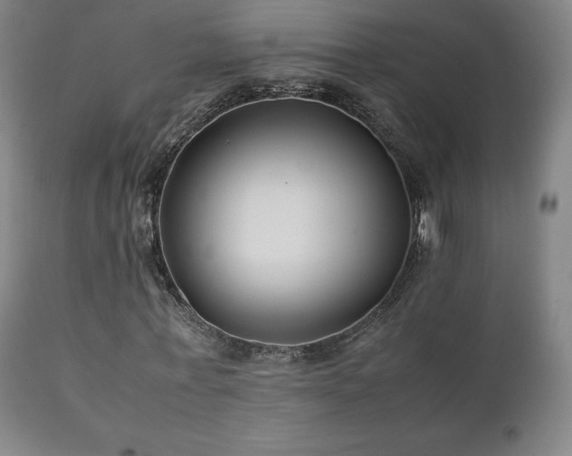 X0000111210771200907011443