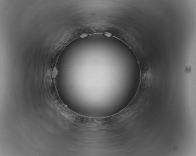 X0000111210772200907011443