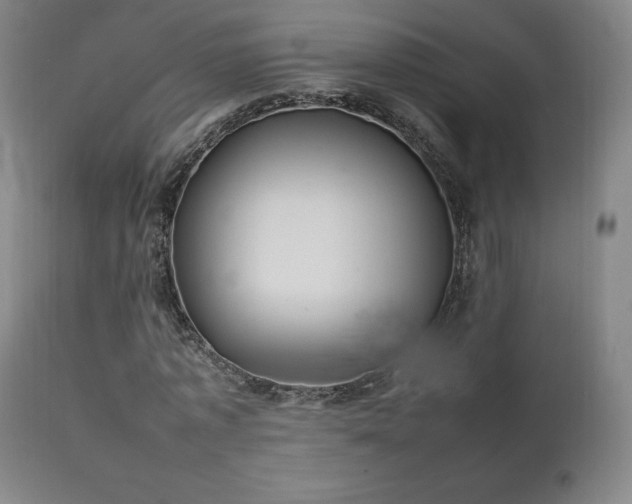 X0000111210773200907011443