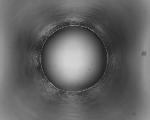 X0000111210774200907011442