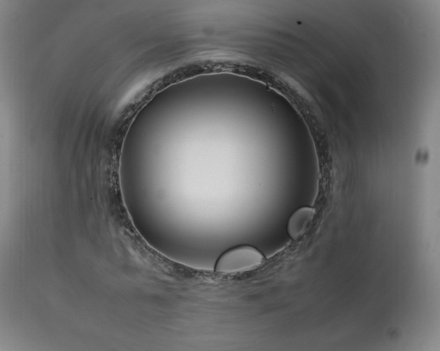 X0000111210775200907011442