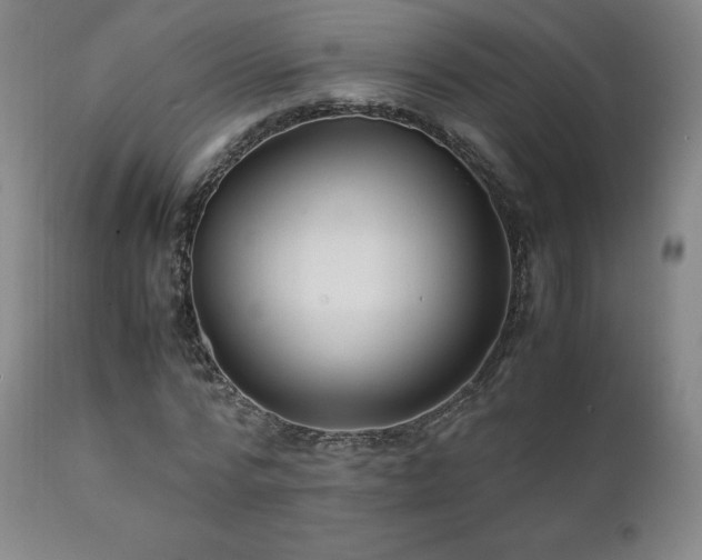 X0000111210776200907011442