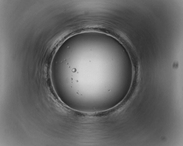 X0000111210777200907011442