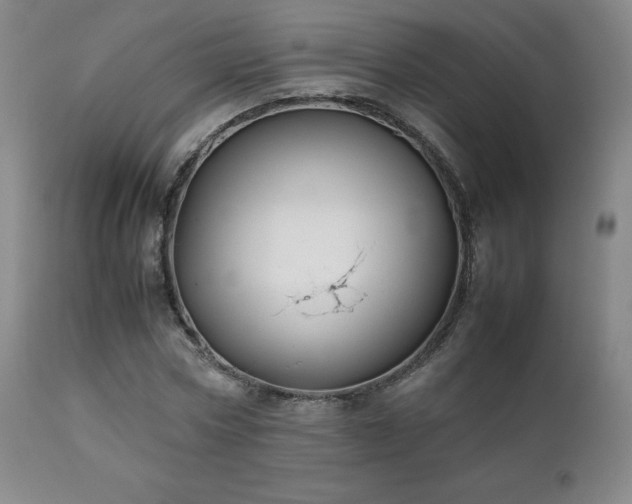 X0000111210778200907011442